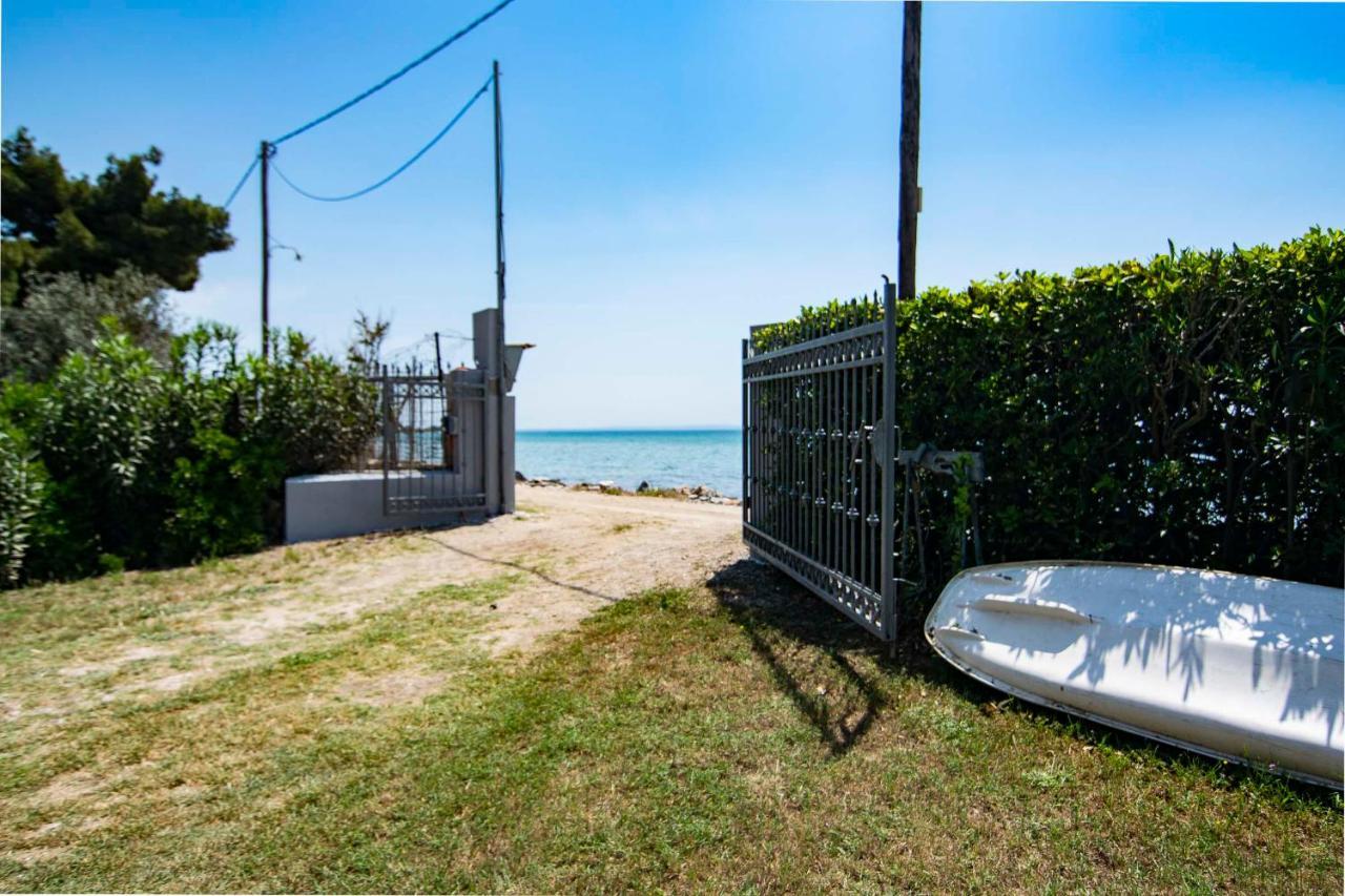 Clio Beach House By Travel Pro Services - Metochi Halkidiki Sozopoli Exterior foto