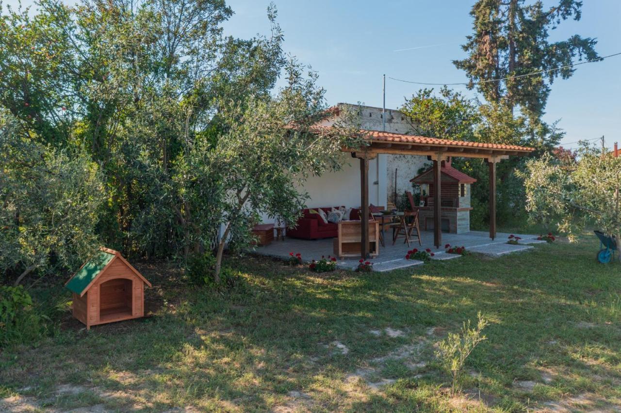 Clio Beach House By Travel Pro Services - Metochi Halkidiki Sozopoli Exterior foto